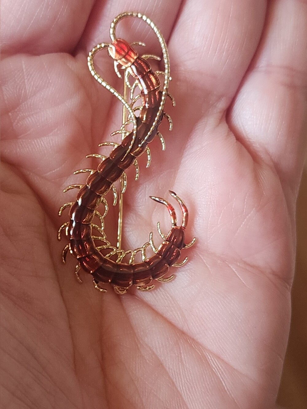 ✨️❣️ Red Centipede Brooch Pin - Picture 4 of 6